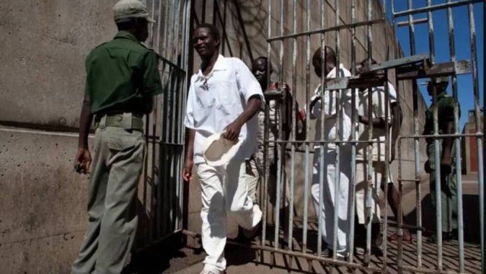 ezgif-2-8ddcaef321-6774aea2ea507