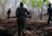 ভারতীয় সেনার হাতে নিহত ৩১ মাওবাদী