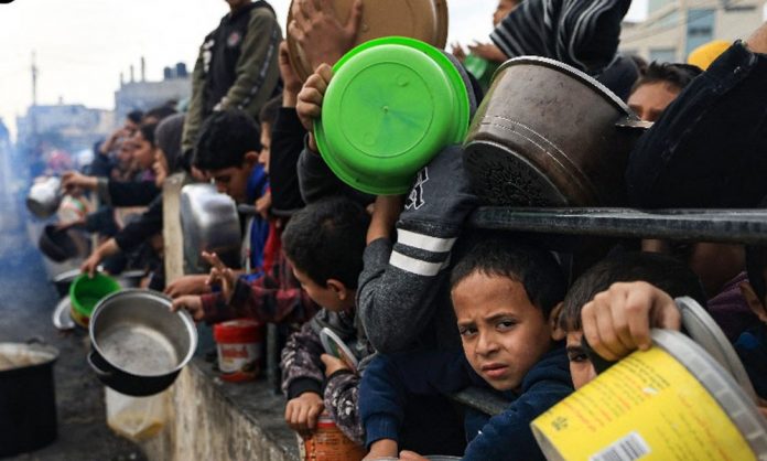 1740975317-e06d061a77a7bde916b8a91163029d41