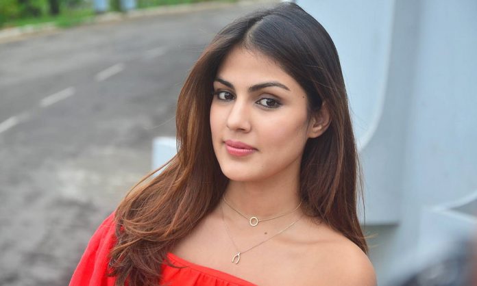 1742974584-b376595914d5a522f8a5c655a5392243