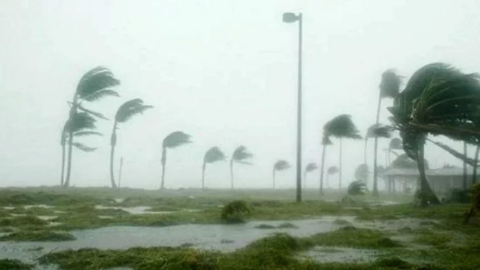 236589-67de328db803e