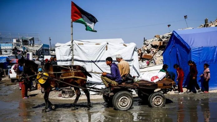 Palestinians-from-Gaza-to-East-Africa-67d436cde6442