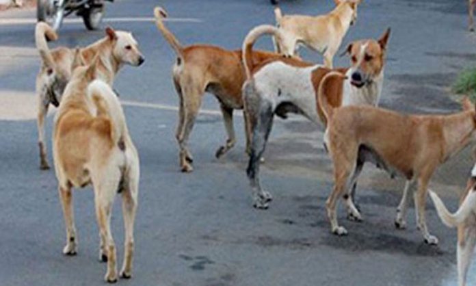 1743559233-8eed13089c5d8ae418835371900ed999