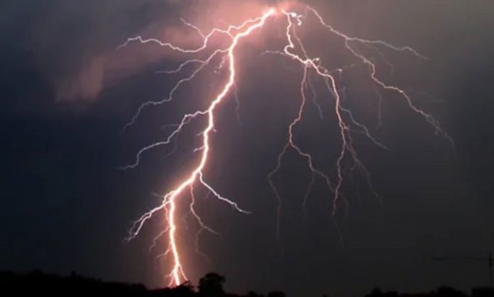 1744514458-e06d061a77a7bde916b8a91163029d41