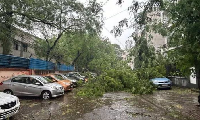 1746161506-e06d061a77a7bde916b8a91163029d41