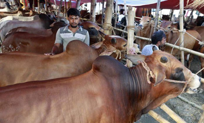 1746351762-7d6323977689684741fc8367ba714b20