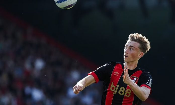 1747310319-b82848dcd08d51c65ec94ae6f14763e7