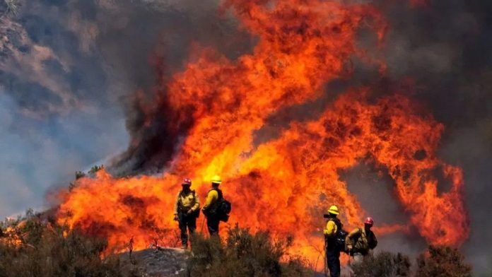 Israel-6814f02715f58