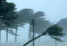 বৃষ্টিতে তলিয়ে গেছে বোরো ধানের খেত