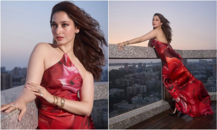 1749821155-41bbbbd6969a000f84821be4b1919640