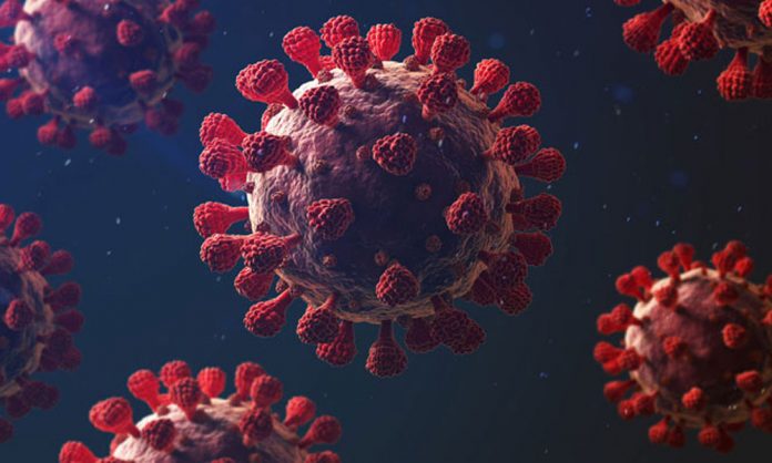 1750767430-6c3bc5c54221526db8a580290ced0f1d