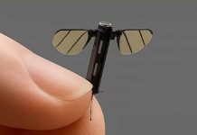 মশা আকৃতির নজরদারি ড্রোন তৈরি করল চীন