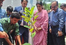 উন্নয়নের ধারা টেকসই করতে গাছ লাগানোর আহ্বান পরিবেশ উপদেষ্টার