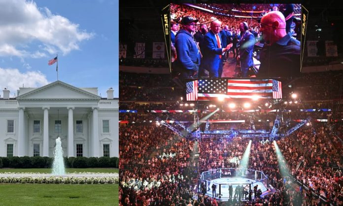 1755065041-f2e15ea681ea16b764280ed050703ee8