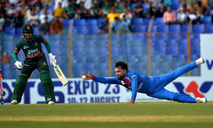 1756018469-47389900b4aae8f9e7903dc5d24b7cd1