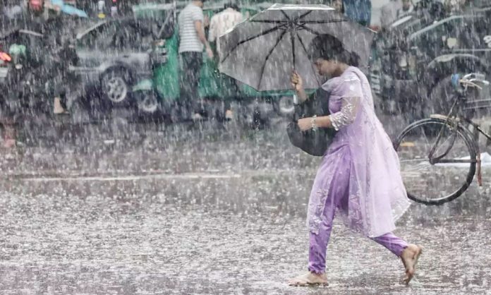 1757431666-144ed349f37a6900f8bcb99de1fbc72e