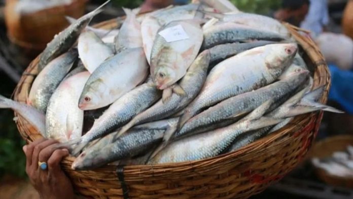 5699810-68c720b2bca3d