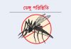 অতিবৃষ্টির কারণে ডেঙ্গুর প্রকোপ বাড়ছে, বলছেন বিশেষজ্ঞরা