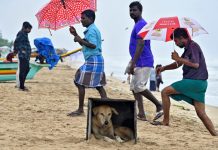 ঘূর্ণিঝড় মন্থায় বিপর্যস্ত ভারত, এক নারীর মৃত্যু