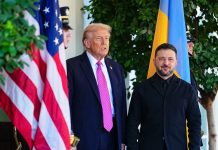 আপনাকে স্টাইলিশ লাগছে, আমার পছন্দ হয়েছে: জেলেনস্কিকে ট্রাম্প