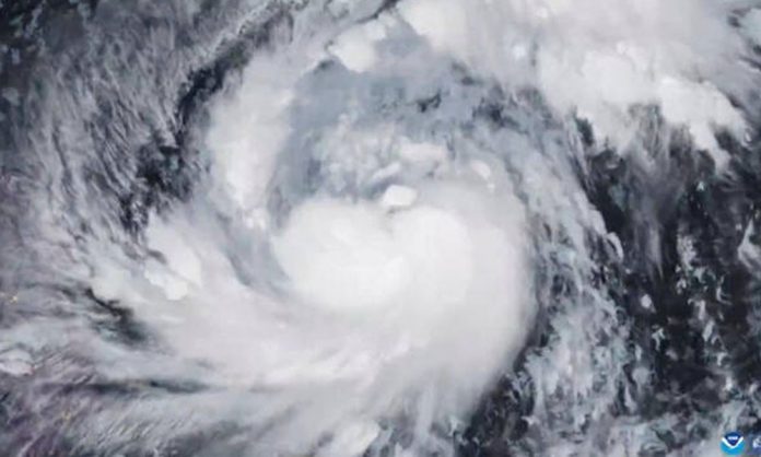 1762583182-d82319912041449cd31bdb7e7569d171