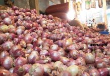 চলতি সপ্তাহে দাম না কমলে পেঁয়াজ আমদানির অনুমোদন
