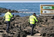 দ. কোরিয়ার জেজু দ্বীপে চায়ের ছদ্মবেশে ভেসে আসছে মাদক