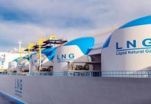 সিঙ্গাপুর থেকে এক কার্গো এলএনজি কিনবে সরকার