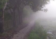 পঞ্চগড়ে তাপমাত্রা নামল ১৪ ডিগ্রিতে, হেডলাইট জ্বালিয়ে চলছে যান