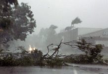 শক্তিশালী ঘূর্ণিঝড় ‘ফিনার’ আঘাতে লণ্ডভণ্ড ডারউইন