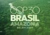 অ্যামাজনে ১ লাখ গাছ কেটে ‘জলবায়ু বাঁচাও’ যাত্রা শুরু