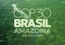 অ্যামাজনে ১ লাখ গাছ কেটে ‘জলবায়ু বাঁচাও’ যাত্রা শুরু