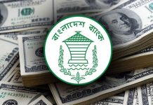 নভেম্বরের ৫ দিনে রেমিট্যান্স এলো ৫৮ কোটি ৪০ লাখ ডলার