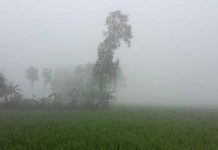 ২০ জেলায় ১৪ ডিগ্রির নিচে নামল তাপমাত্রা, সর্বনিম্ন পঞ্চগড়ে