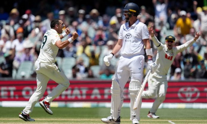 1766293827-c4556d46faaf7f9eba7b547e9aa7ffb4