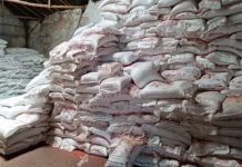 সিন্ডিকেটের কবলে সারের বাজার, জিম্মি কৃষক