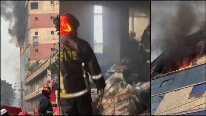 995684-6949fc2fabc76