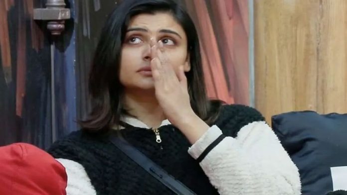 Maloti-Chahar-6946c43a9fd46