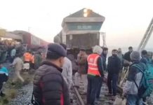 ট্রেনের ধাক্কায় ৮ হাতির মৃত্যু