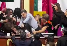 হাতাহাতি-চোলোচুলিতে জড়ালেন মেক্সিকোর আইনপ্রণেতারা