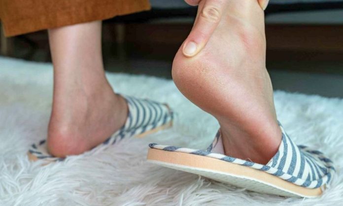 1767239015-217a3f09b842fd1728a5470fb6c8fd80