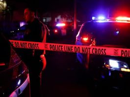 অস্ট্রেলিয়ায় গুলিবিদ্ধ হয়ে নিহত ৩