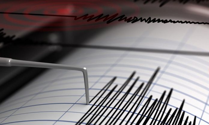 1770013652-d82319912041449cd31bdb7e7569d171