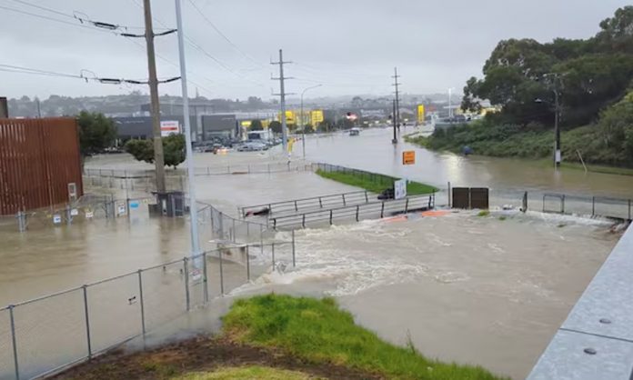 1771133815-e06d061a77a7bde916b8a91163029d41