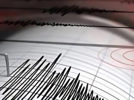 ভূমিকম্পে কেঁপে উঠল দেশ