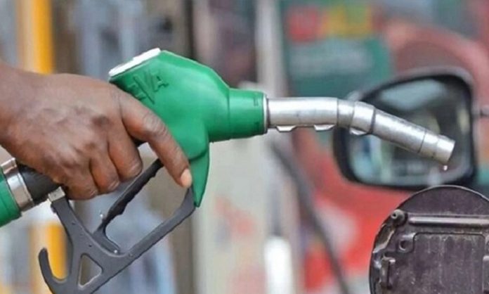 1774602758-41d0393ce054f4d90e978e9e1661f44c