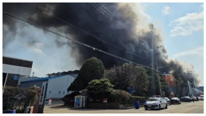 BeFunky-collage-(59)-69be958726407