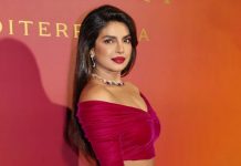 প্রিয়াংকাকে উপেক্ষা হলিউড তারকাদের, দাবি নেটিজেনদের