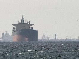 হরমুজ প্রণালি দিয়ে শিগগিরই আসছে ৬ বাংলাদেশি জাহাজ