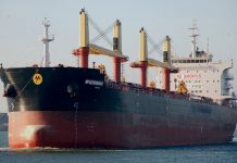 যুক্তরাষ্ট্র থেকে এলো আরো ৬১ হাজার টন গম